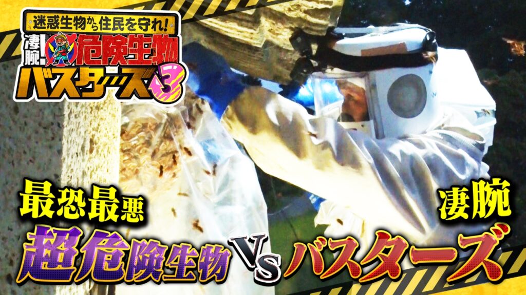 6/11放送のテレビ東京系『日曜ビッグバラエティ』にて害獣駆除の様子が紹介されました
